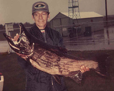 405_Dick Boyajian_Coho Salmon_Oncorhynchus kisutch.jpg